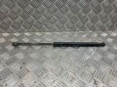 Tailgate/trunk strut/damper