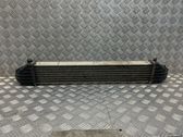 Intercooler radiator