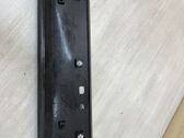 Listón embellecedor de la puerta delantera (moldura)