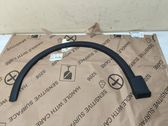 Fender trim (molding)
