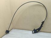 Fuel line/pipe/hose