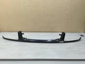 Front grill