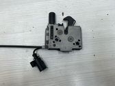 Tie down hook / loop
