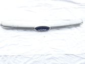 Front bumper upper radiator grill