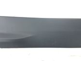 Rear door trim (molding)