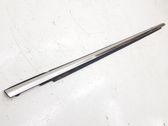 Front door glass trim molding