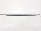 Rear door glass trim molding