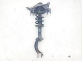 Front shock absorber with coil spring