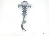 Front shock absorber with coil spring