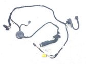 Front door wiring loom