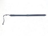 Tailgate/trunk strut/damper