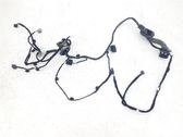 Front door wiring loom