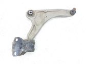 Front lower control arm/wishbone