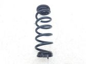 Rear coil spring