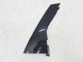 Rear door glass trim molding