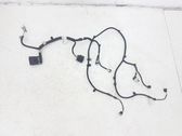 Other wiring loom