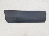 Rear door trim (molding)