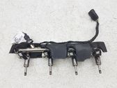 Fuel injectors set