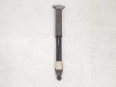 Rear shock absorber/damper