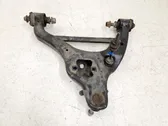 Front lower control arm/wishbone