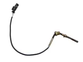 Exhaust gas temperature sensor