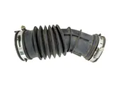 Air intake hose/pipe