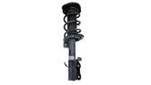 Front shock absorber with coil spring