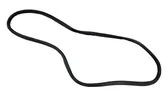 Trunk rubber seal (body)