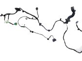 Rear door wiring loom