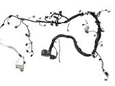 Engine installation wiring loom