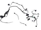 Front door wiring loom
