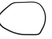 Front door rubber seal