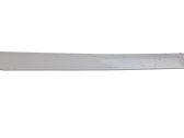 Rear door trim (molding)