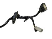 Other wiring loom