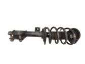 Front shock absorber with coil spring