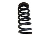 Rear coil spring