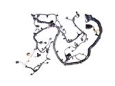Engine installation wiring loom