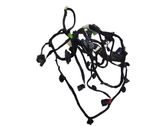 Front door wiring loom