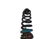 Rear coil spring