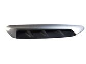 Fender grill