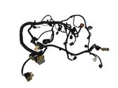 Engine installation wiring loom