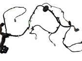 Rear door wiring loom