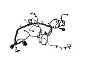 Engine installation wiring loom