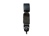 Rear seatbelt buckle