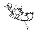 Engine installation wiring loom