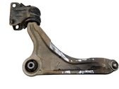 Front lower control arm/wishbone