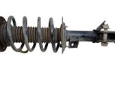 Front shock absorber with coil spring