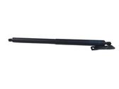Tailgate/trunk strut/damper