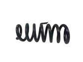 Rear coil spring