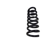 Rear coil spring